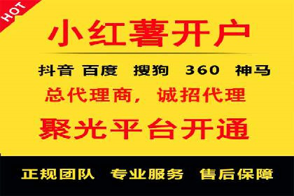 SEO技术突破：某网站流量暴增的背后故事